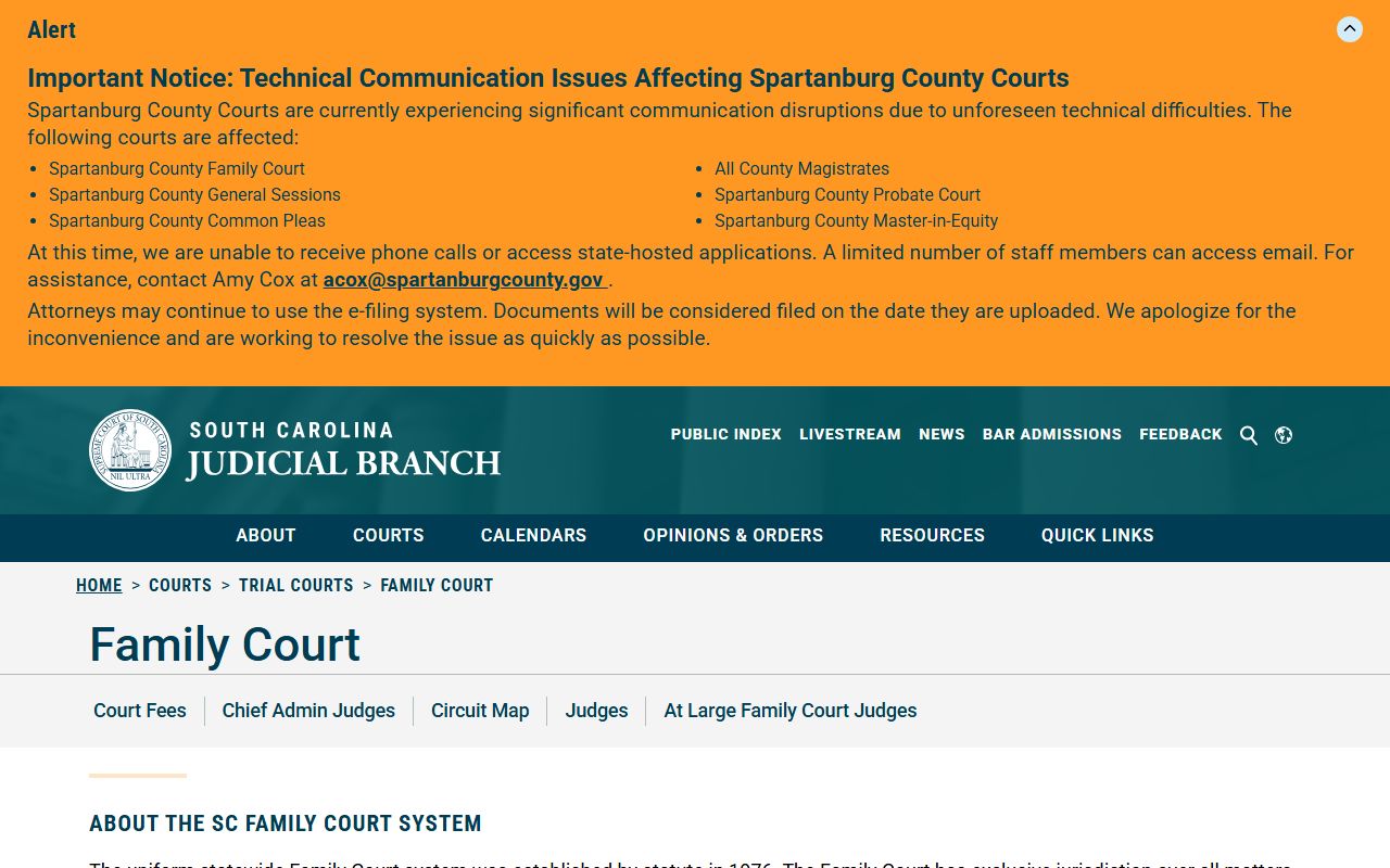 Orangeburg County court dockets Family Court overview